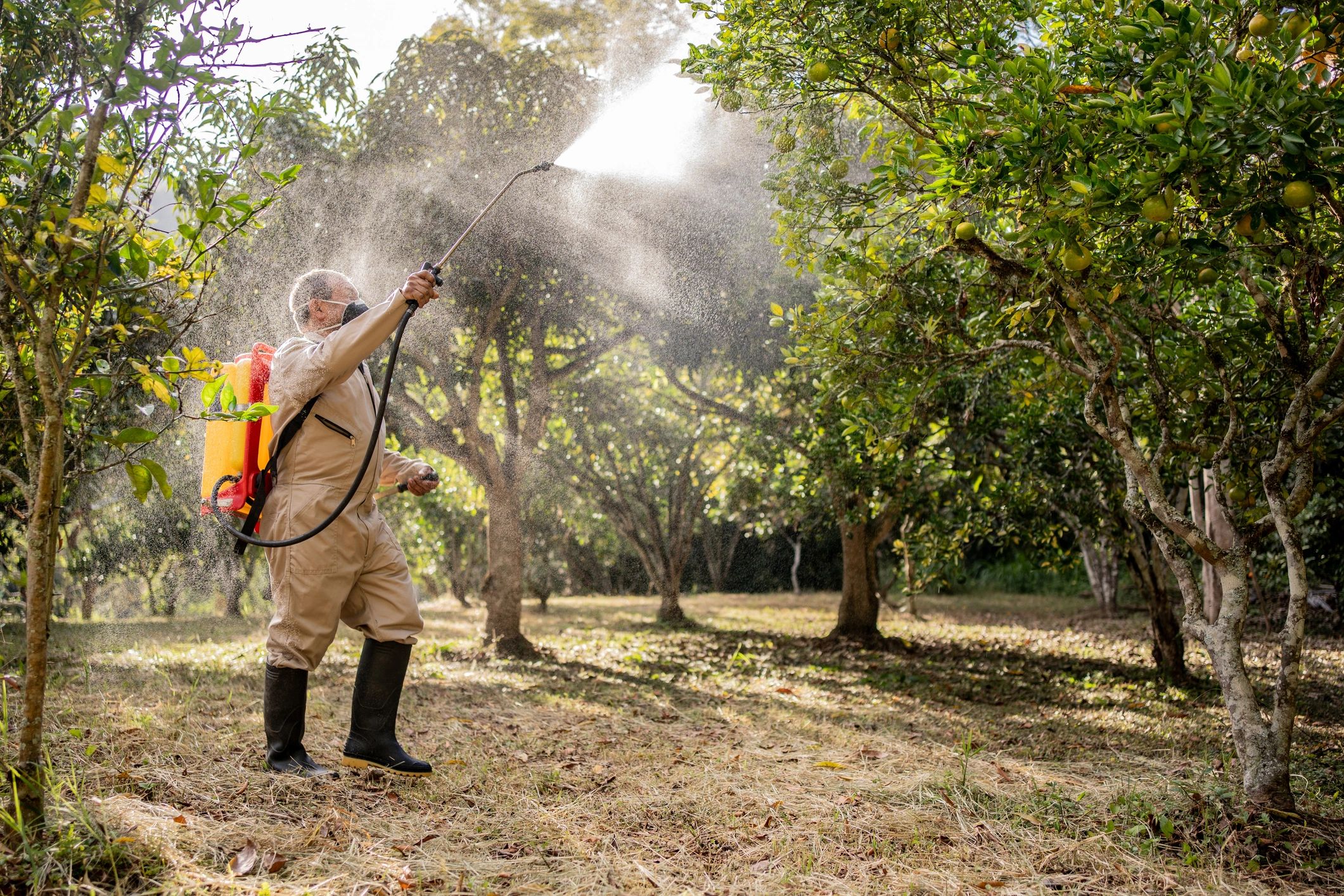 Technician spraying treatment along an exterior foundation line